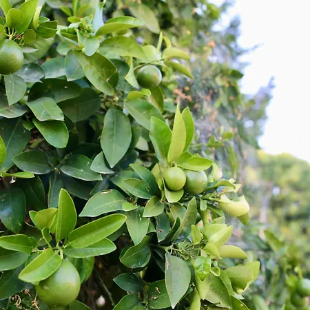 Pafilia Gardens Studio - Pool Access - Near Old Town - Free Parking דירה *