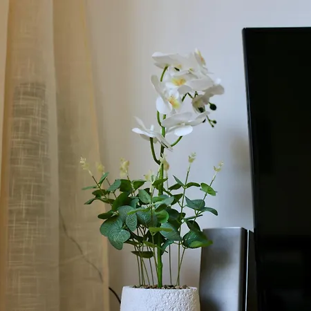 Pafilia Gardens Studio - Pool Access - Near Old Town - Free Parking * פאפוס