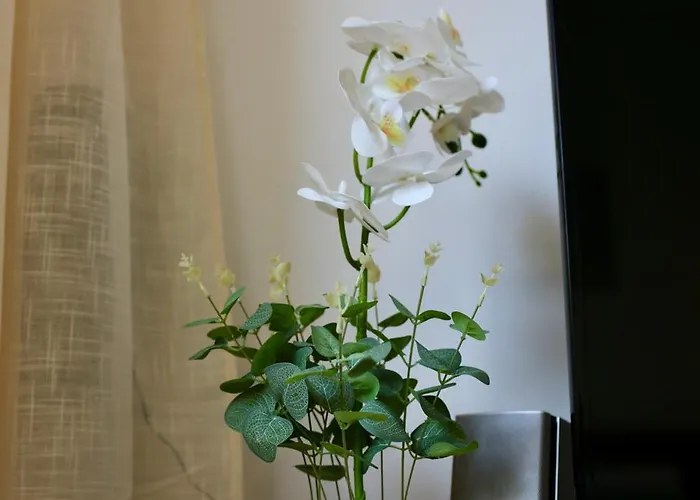 Pafilia Gardens - Pool Access - Near Old Town - Free Parking * Pafos